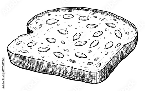 slice of whole grain bread with seeds hand drawn sketch