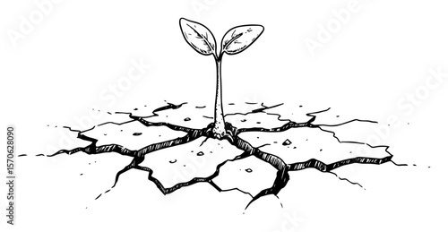 sprout growing through cracked dry soil line art