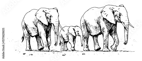 elephant family walking together wildlife sketch