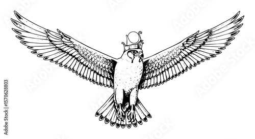 egyptian falcon horus with sun disk vector sketch illustration