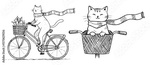 cute cats riding bicycles hand drawn vector illustration