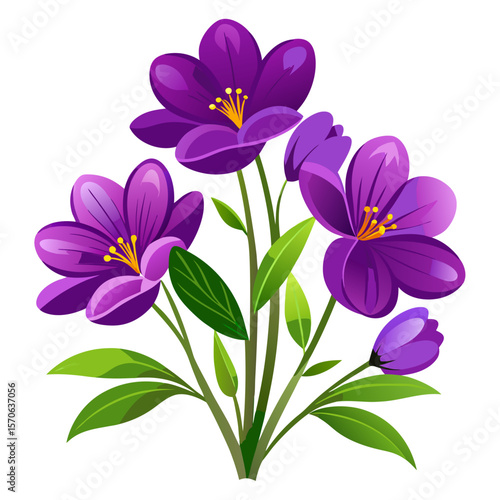 Vector illustration of vibrant purple crocus flowers with green leaves isolated on white background