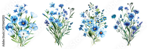 Bouquet Wild Field flowers Watercolor illustration blue Botanical collection of garden plants. Set different wild flowers, branches, herbs and leaves for bouquets and other natural elements for cards
