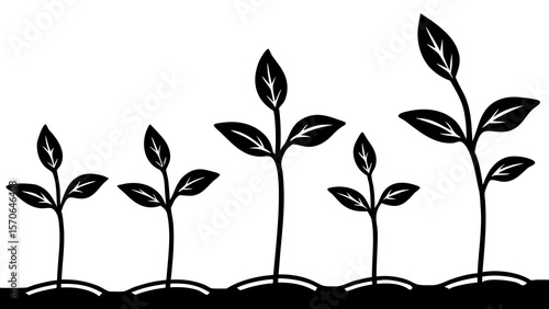 Row of seedlings sprouting from the ground