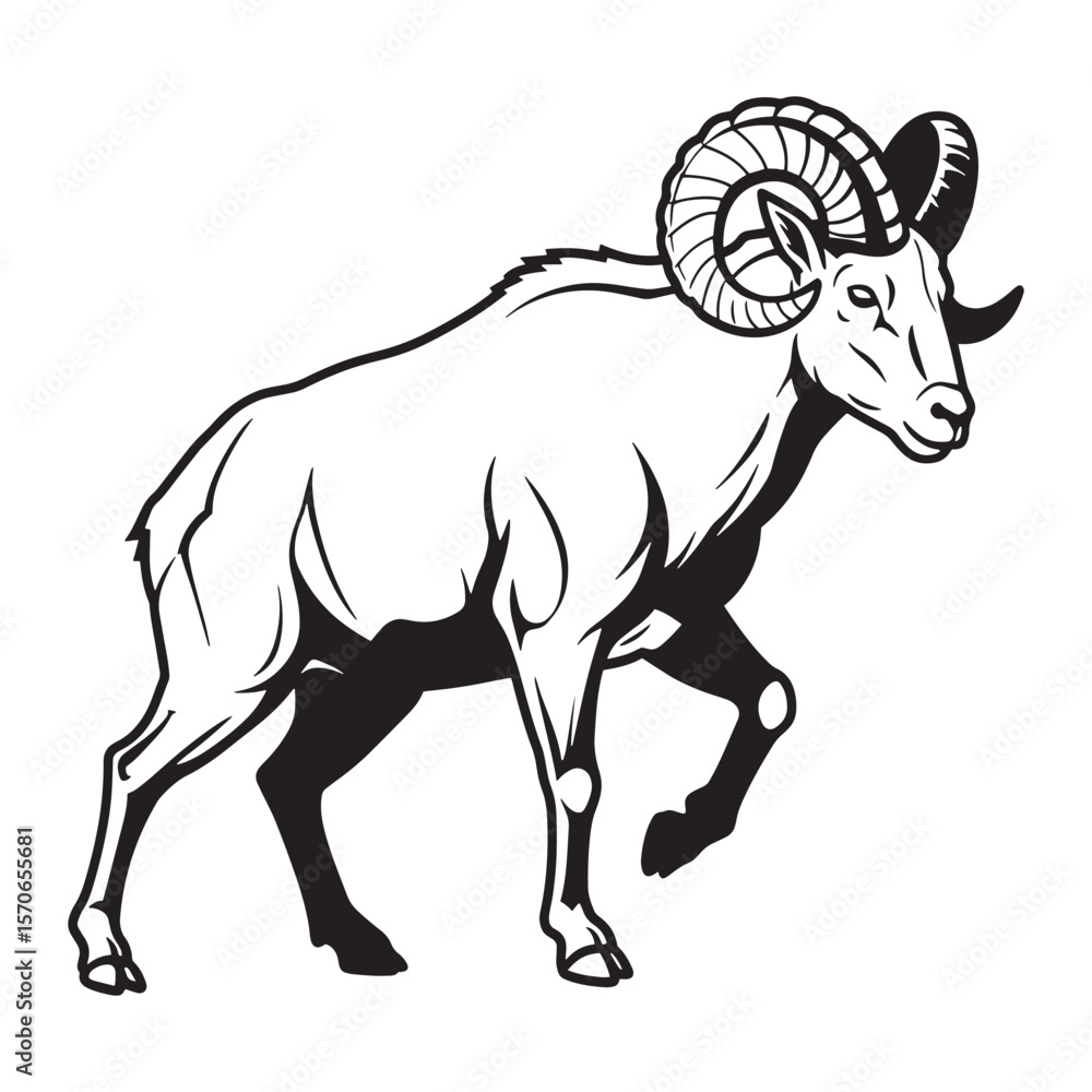 Fototapeta premium A striking black and white vector illustration of a majestic ram walking gracefully