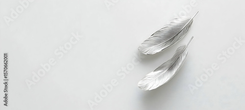 Abstract black and white photo of floating feather earrings with elegant curves and a minimalist jewelry style surrounded by serene gray tones for a timeless ethereal feel.

