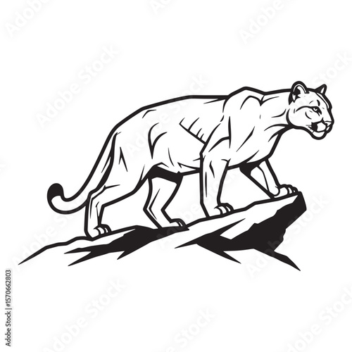 Vector illustration of a majestic mountain lion standing on a rocky ledge isolated on white