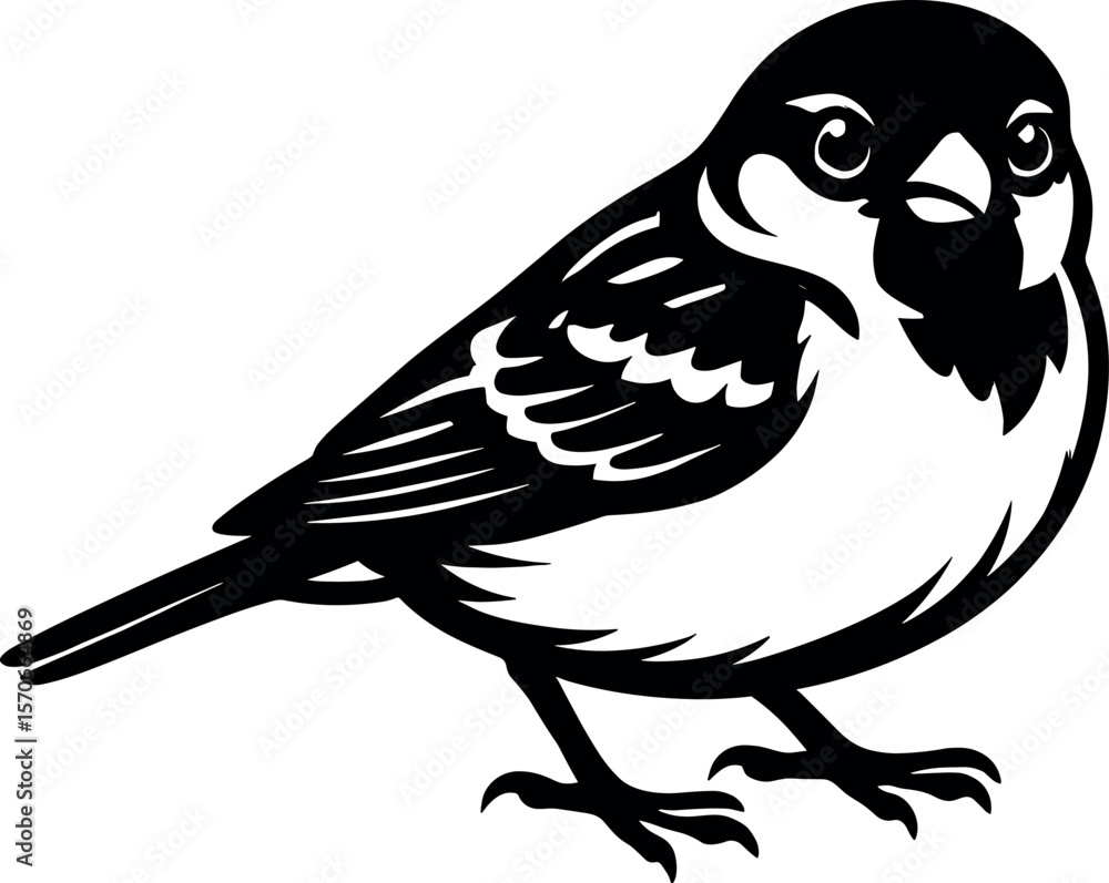 Obraz premium Sparrow vector silhouette design