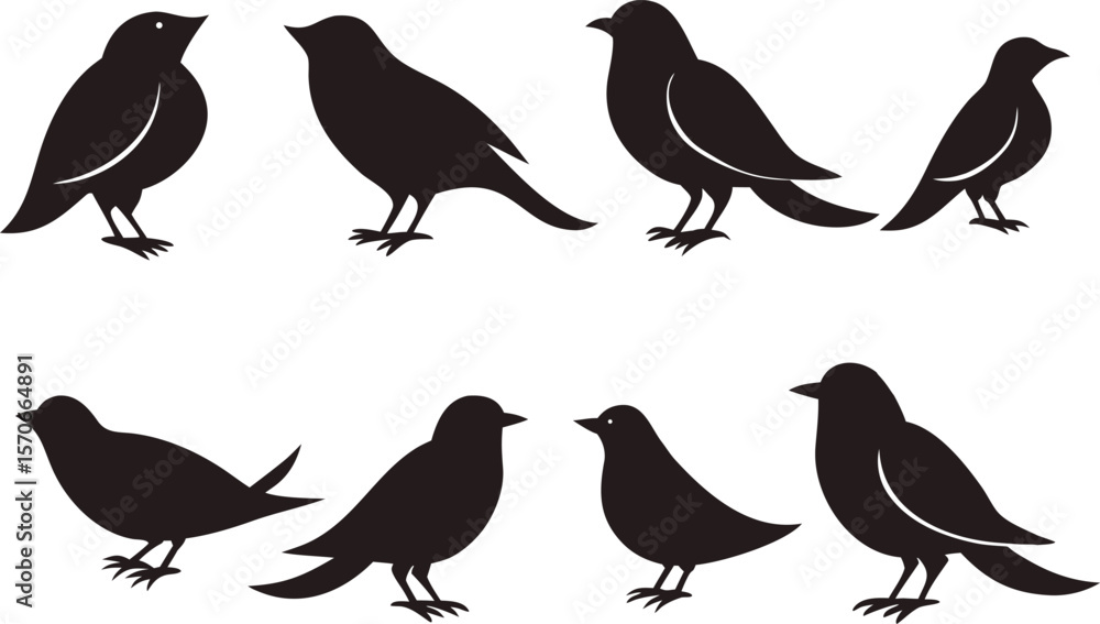 Obraz premium Black Bird Silhouettes Collection for Wildlife and Nature Concepts