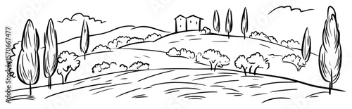 tuscan rolling hills with cypress trees line art vector landscape