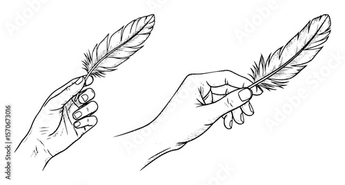 human hands holding feathers drawing
