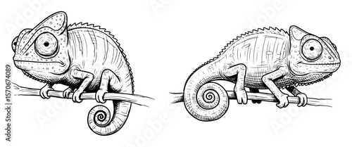 two chameleons on branch line art