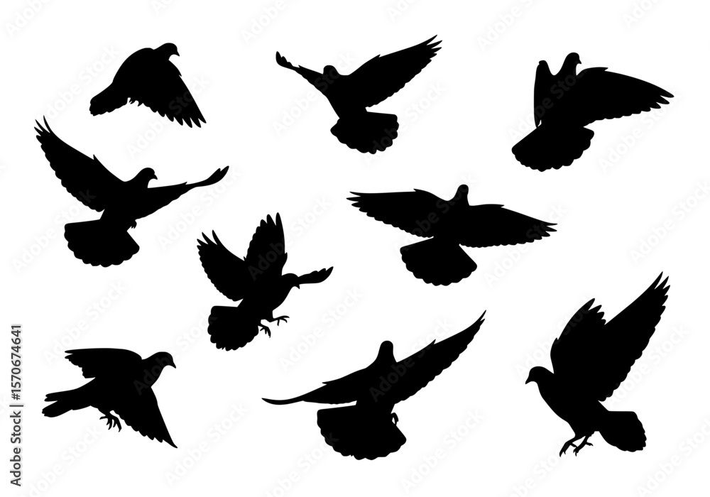 Obraz premium Vector silhouette of a collection of black pigeon silhouettes in flight, isolated on a white background