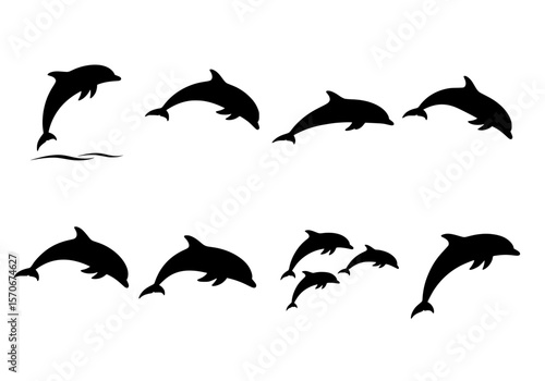 Vector silhouette of a collection of black dolphin silhouettes in various dynamic poses isolated on a white background
