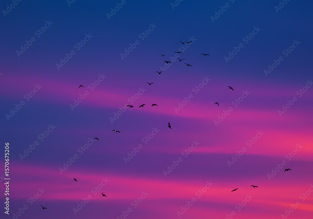 Obraz premium Birds in Twilight A Vibrant Sunset Silhouette