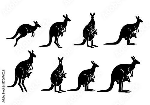 Vector silhouette of collection of black kangaroo silhouettes in various poses isolated on white background