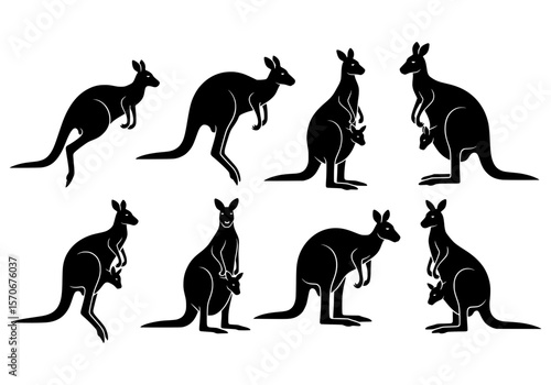 Vector silhouette of collection of black kangaroo silhouettes in various poses, isolated on white background