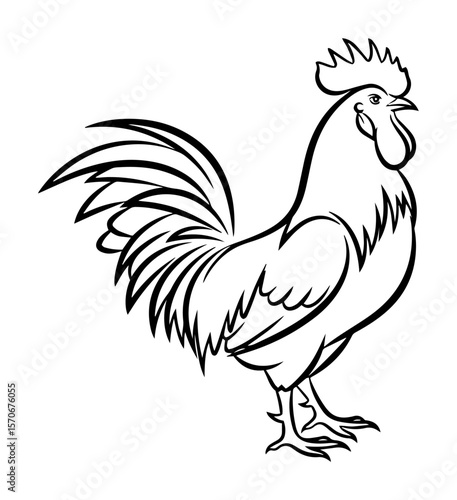 proud rooster standing crowing line art illustration