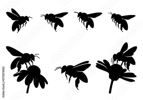 Vector silhouette of collection of black silhouette bees in various poses, some interacting with flowers, isolated on a white background