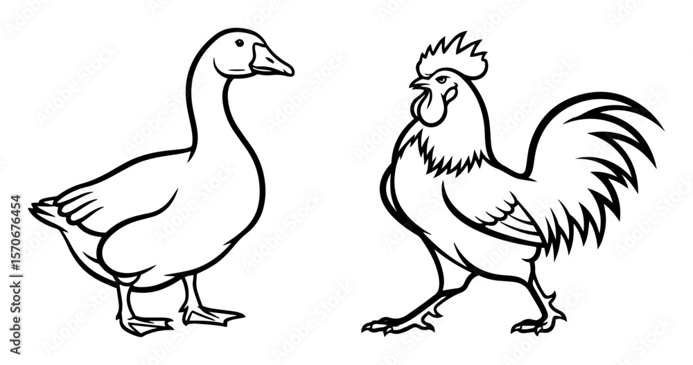 Fototapeta premium rooster and goose farm birds line art vector