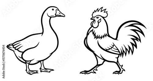 rooster and goose farm birds line art vector