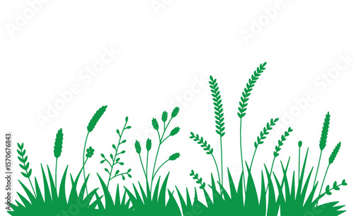Green silhouette of various wild grasses and plants on a white background