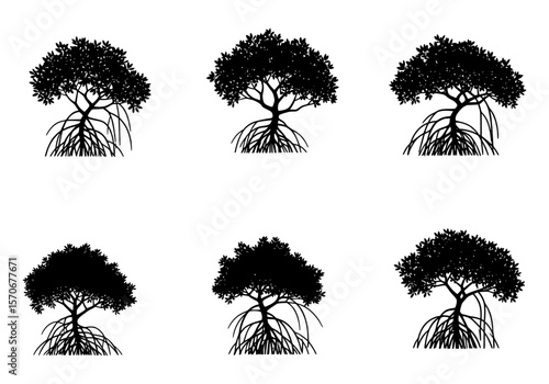 Vector silhouette of six unique black silhouettes of mangrove trees with exposed stilt roots, isolated on a white background