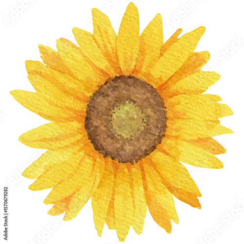 Vector Illustration of Watercolor sunflower head 3