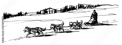 dog sledding with huskies in winter landscape sketch vector