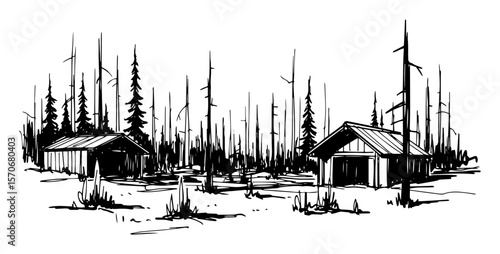 forest fire aftermath burned landscape with cabins sketch