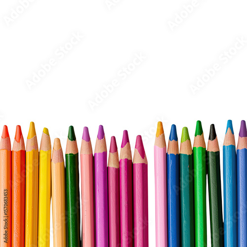 Colorful Collection of Vibrant Colored Pencils on White Background