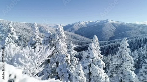 Wallpaper Mural Snow covered trees and mountains on a bright sunny day in a winter landscape scene view Torontodigital.ca
