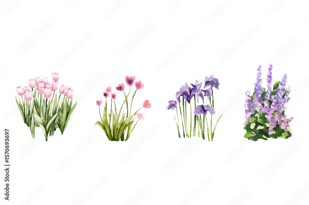 Fototapeta premium Spring flower waterolor vector elements design