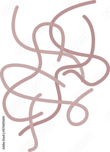 Roundworm
