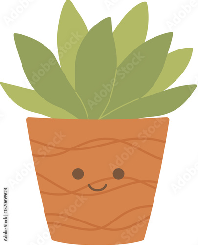 Cute Succulent

