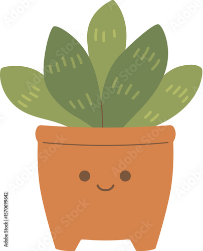 Cute Succulent


