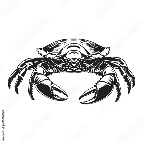 crab in black and white vector side pose black and white vector