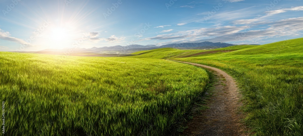 Fototapeta premium The Serene Path Through Lush Green Fields Under a Bright Sky