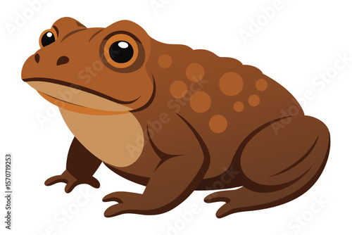 A realistic cartoon illustration of a brown spotted toad sitting on a white background