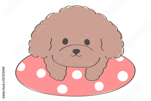 浮き輪で浮かぶトイプードルの可愛い手書きイラスト