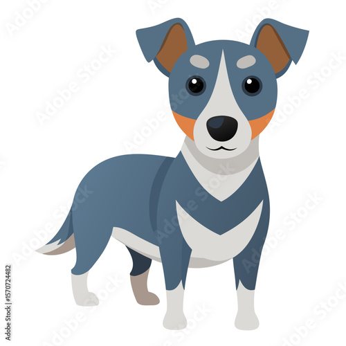 Blue dog with tan ears and white markings animal canine