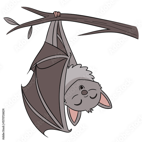 Cute grey bat sleeping upside down on a branch tree