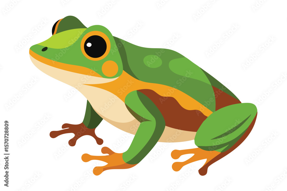 Obraz premium Vibrant green frog with orange accents on a white background