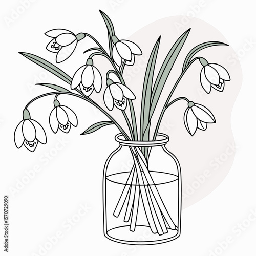 Elegant snowdrop flowers in a glass vase simple botanical spring illustration