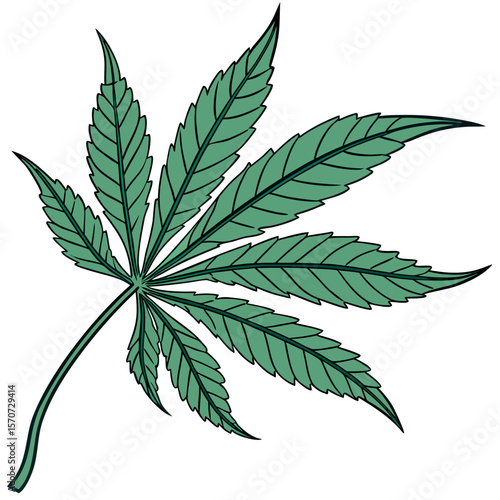 Green cannabis leaf with black outline on white background marijuana leaf green leaf