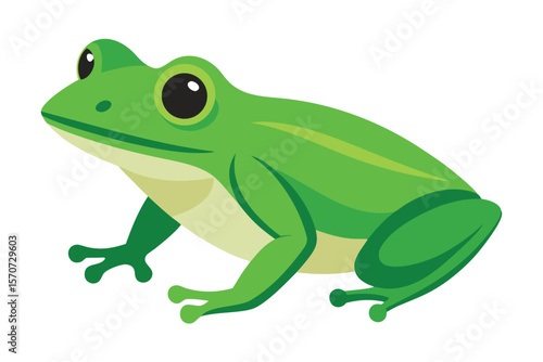 A bright green frog sits patiently on a white background