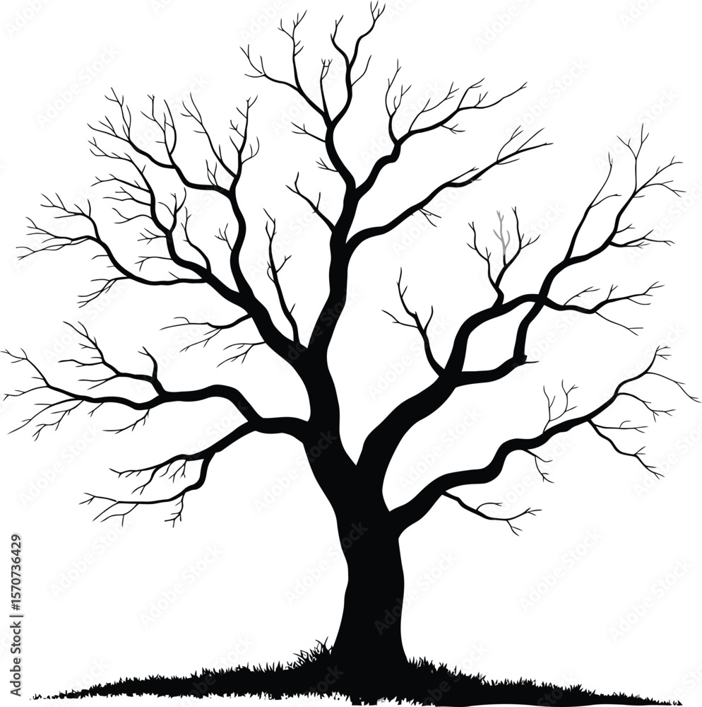 Obraz premium Nature tree landscape design silhouette