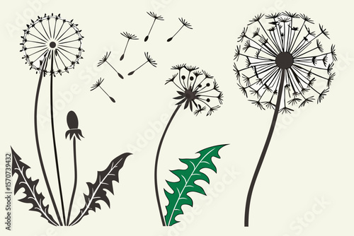  dandelion flower, dandelion seed head, dandelion puff, abstract dandelion silhouette, dandelion icon, dandelion illustration, dandelion graphic, dandelion design, dandelion background, dandelion pa