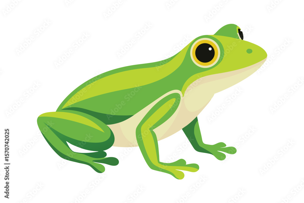 Naklejka premium A vibrant green frog with large yellow eyes sits on a white background
