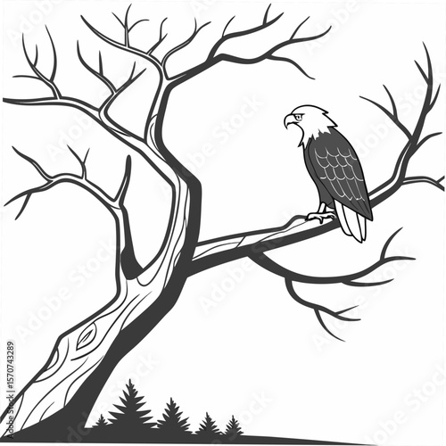 Eagle perched on a bare tree branch bird